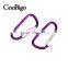 Aluminum Spring Locking Carabiner Snap Hook Hanger Keychain Hiking Camping #FLQ187-5C(Mix-s)