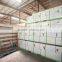 Wood white finish Double Wood Rebated door jambs