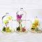 High Clean Glass Decor Dome Cover for Home/office