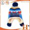 Factory wholesale custom fur pom beanie winter hats for men and women
