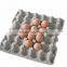8 sides 6 moulds paper egg tray making machine
