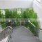 Natural Look Artificial Bamboo for Buiding Landscaping