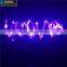 DC3V/12V low voltage led christmas light and led chain light
