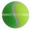 customized promotional pet tennis ball