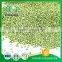 Pure Natural Customized Dried Frozen Green Pea