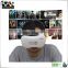 Wholesale price 3D VR Case 5TH Google cardboard Virtual Reality Glasses Case 3D/IMAX Cinema RK 5th