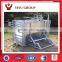 CATTLE YARD DESIGN PANELS