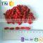 TTN sale 2015 new China ningxia dried goji berry price