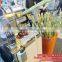 Sugarcane Juicer/Extruder/Maker