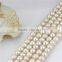 Natural freshwater edison loose strand size 10-11mm AA wholesale freshwater pearl strand