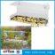 2015 new design clear acrylic automatic pet/bird feeder with suction cup