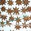 2015 New Crop Good Aroma Well Dried Star Aniseeds