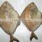 Frozen Black Pomfret Whole Round Size 200-300 and 300-500