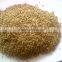 Jeera Seed Gujarat Origin