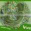 High Yield F1 Yard Long Bean Seeds VGLB031/ Vegetable seeds