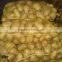 Factory supplying 2015 new crop fresh Holland Potato with good quality