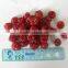 Fresh Preserved Cherry On Sale In Jun
