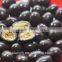 Unique and delicious grape chocolate snack food