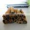 Best selling Vietnam Cinnamon Sticks, High oil content, good quality, HAGIMEX