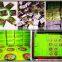 Export & Sales For Wax MatchBoxes For Nigerian Market