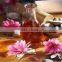 Amyris Essential Oil Best Exporter of India