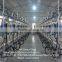 Dairy Farm Automatic Milking System , Milking Parlor For Cow