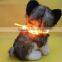 Fashion lighting up cat collars, puppy collars
