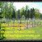 Hign Tensile Hinge Joint Livestock Sheep & Deer Wire Mesh Fence for China