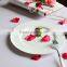 custom porous ceramic plates white porcelain serving dishes