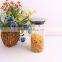 transparent borosilicate glass storage jar