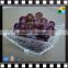 2017 Acrylic food tray fruit tray plastic food tray made in China