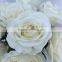 9 branches bunch white color silk rose flower