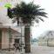 APM030 GNW large plastic artificial palm trees for home decor