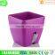 flower pots wholesale Latest design Various Size Plastic flower pot ,colorful flower pots
