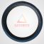 Concrete Pump Spare Parts Schwing Seal Ring 10002329