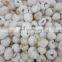 Top Quality Certified Sweet Peeled Seedless Tropical Fruit IQF Frozen Lychee