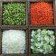 new harvest freeze dried leek