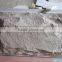 New and cheap china beige marble wall cladding