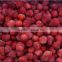 iqf American 13 strawberry and frozen strawberry with good price