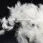 IDFL Texted 2-6cm White Duck Feather for Textiles