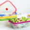fresh keeping functional foldable food storage ,silicone fresh container,picnic lunch box