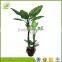 wholesale factory price artificial banana tree for indoor decoration