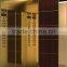 commercial/hotel/passenger elevator with golden hair line stainless steel