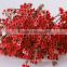 the most popular decoration flower wintersweet for wholesale