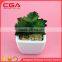 lifelike emulational plants,artificial plants wholesale