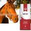Horse feed woven bag 50lb popular in USA& Canada