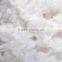 Hotel Use Pillow Stuffing 300TC Cotton For Wholesale / White Duck Duown