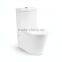 Sanitary Two Pieces Washdown Toilets for Sale