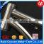 mountain bike titanium frame