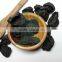 GARCINIA CAMBOGIA EXTRACT